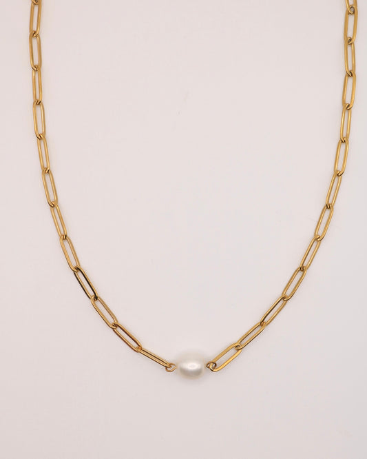 Ivy Kette